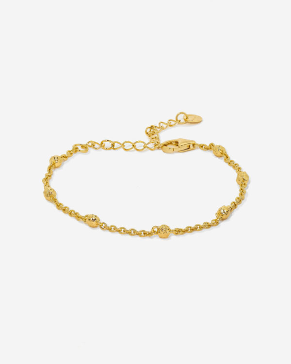 A delicate gold bracelet featuring organic gold vermeil beads dotted along the chain